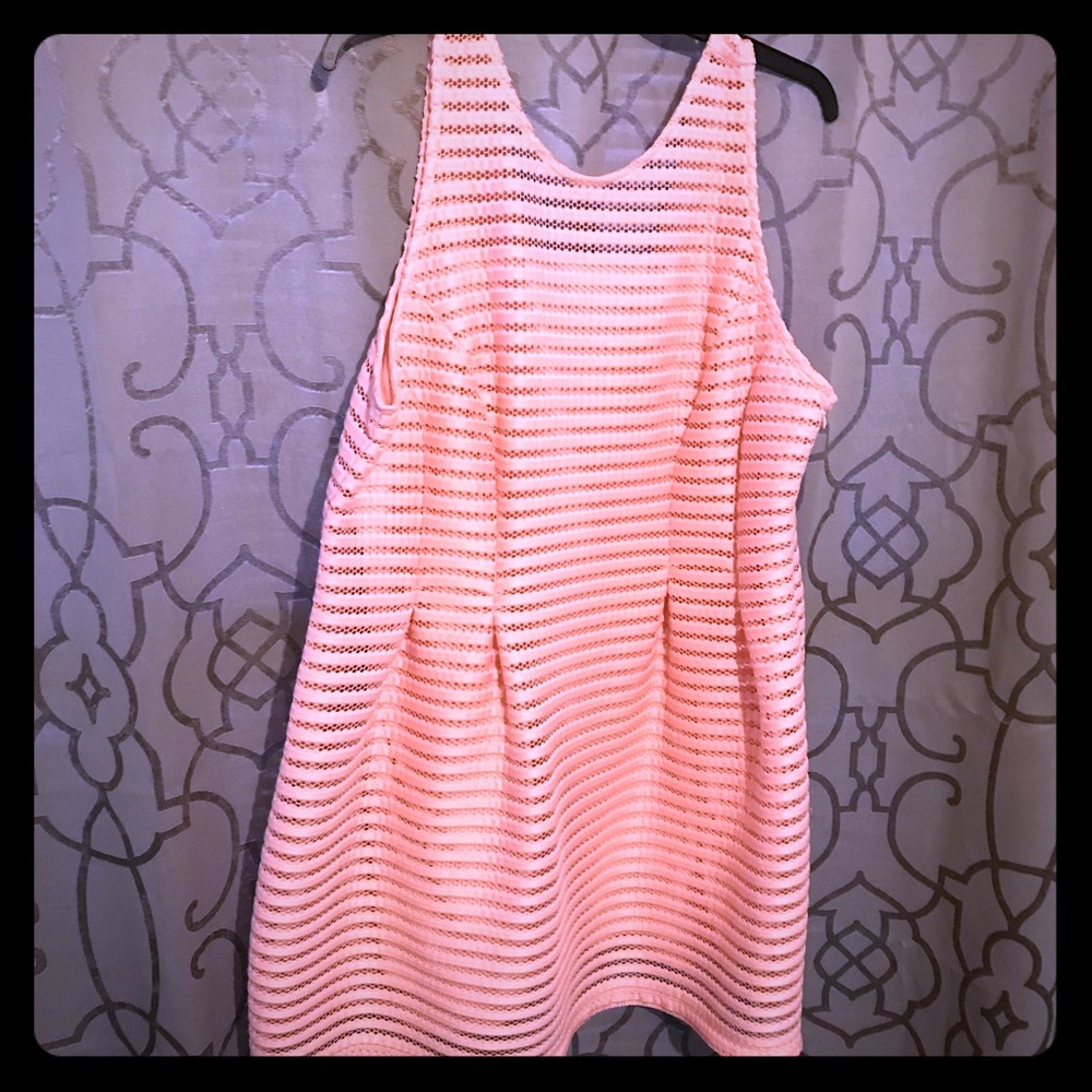 Pink eyelet plus size dress